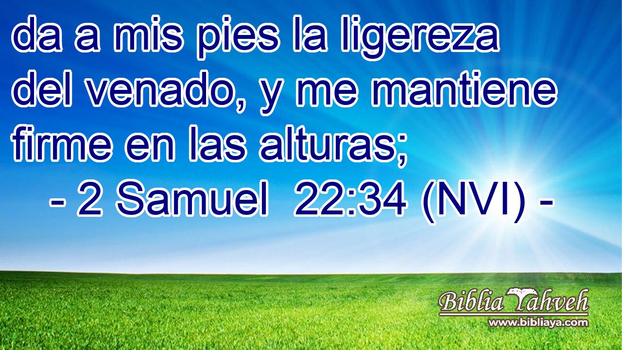  da a mis pies la ligereza del venado, y me mantiene firme en las alturas; 