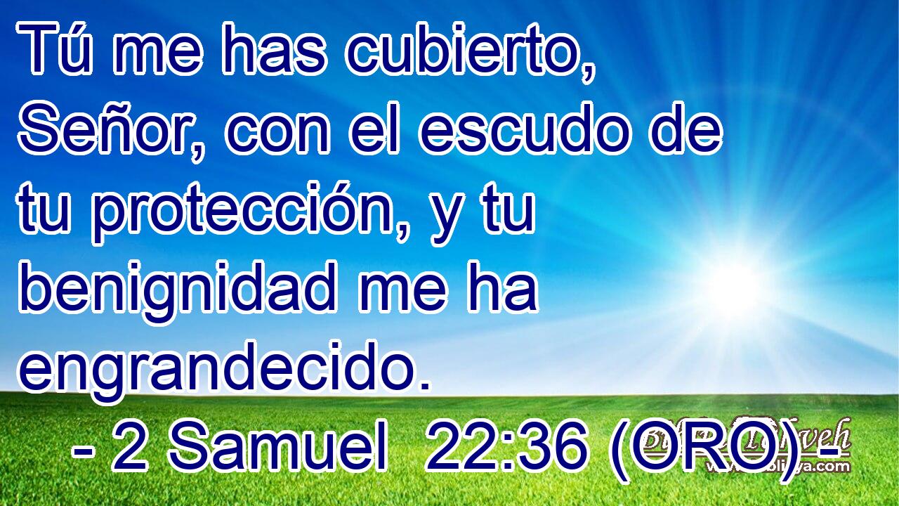  Tú me has cubierto, Señor, con el escudo de tu protección, y tu benignidad me ha engrandecido. 