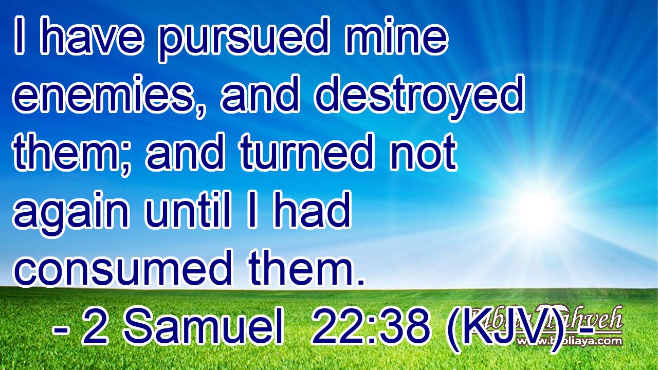 I have pursued mine enemies, and destroyed them; and turned not again until I had consumed them.