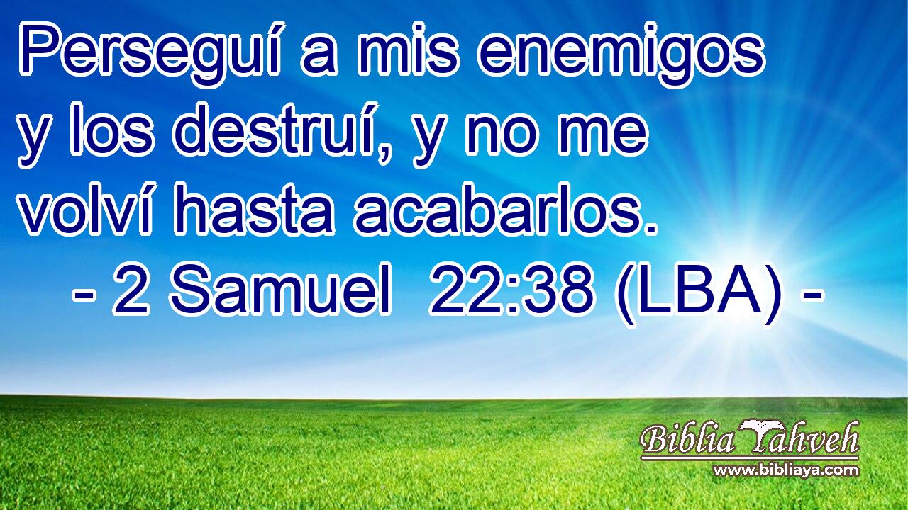 Perseguí a mis enemigos y los destruí, y no me volví hasta acabarlos.