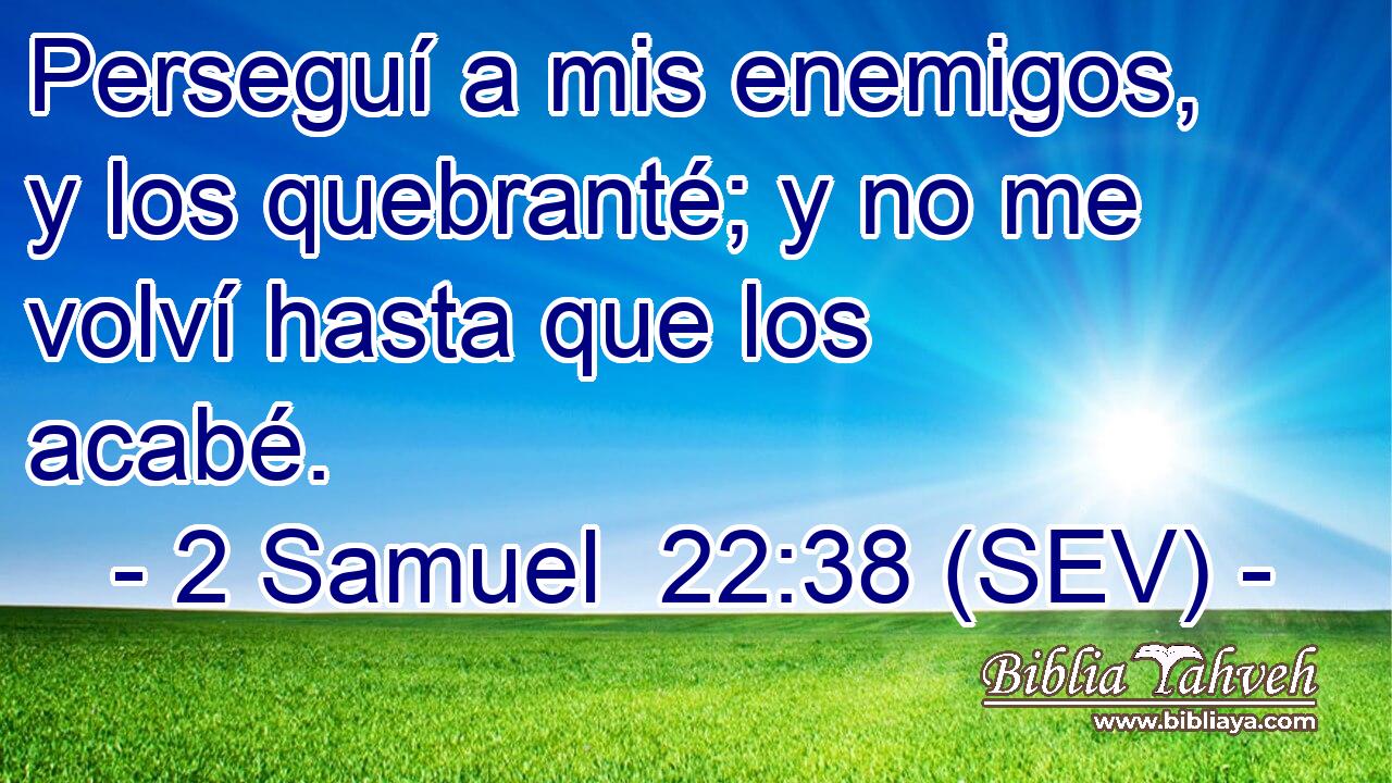 Perseguí a mis enemigos, y los quebranté; y no me volví hasta que los acabé.