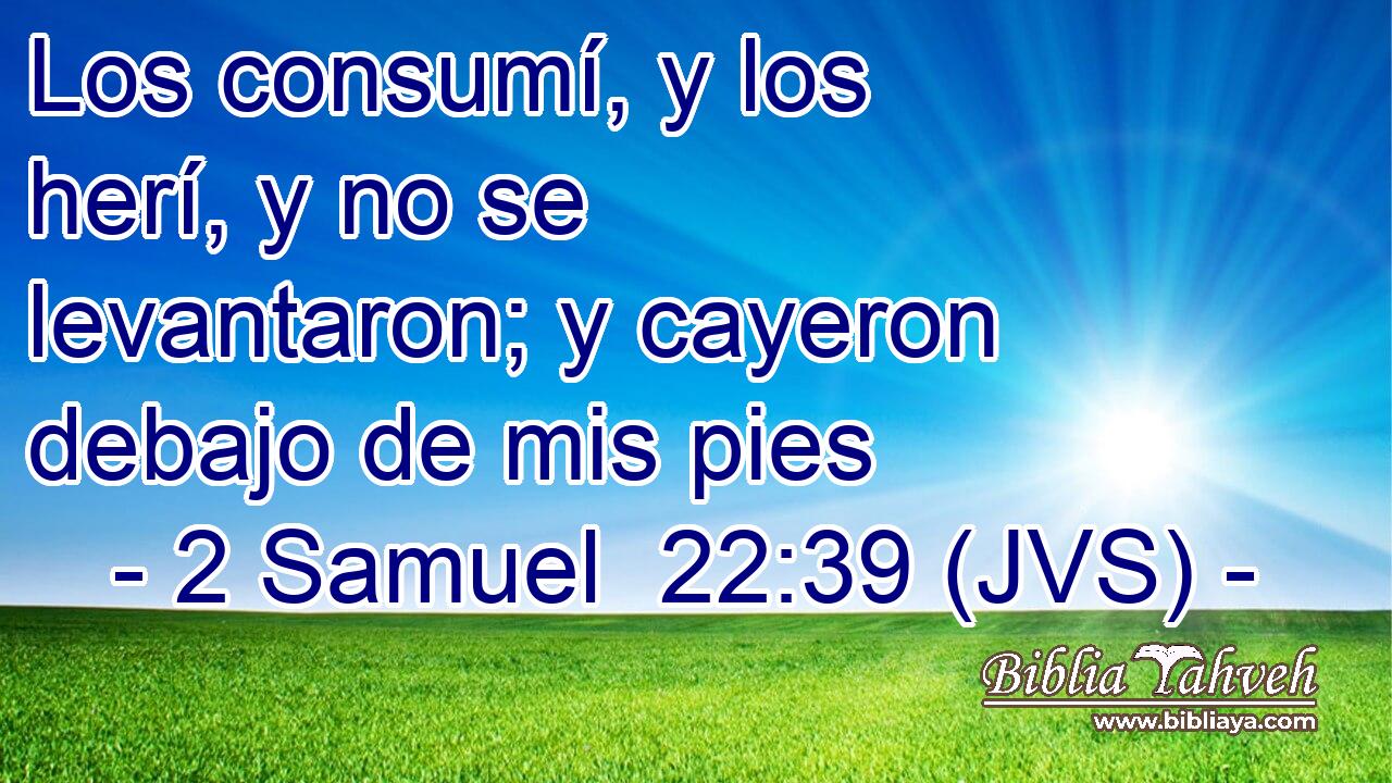 Los consumí, y los herí, y no se levantaron; y cayeron debajo de mis pies