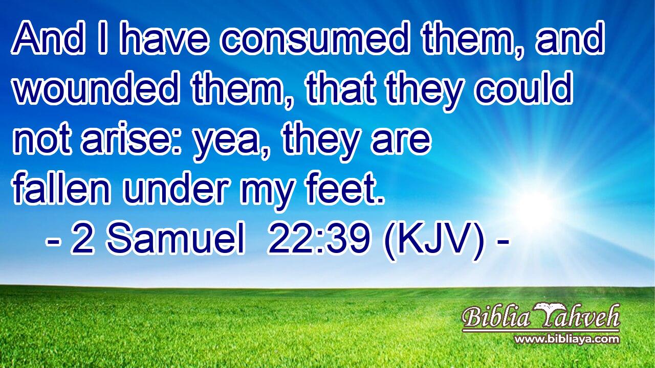 And I have consumed them, and wounded them, that they could not arise: yea, they are fallen under my feet.