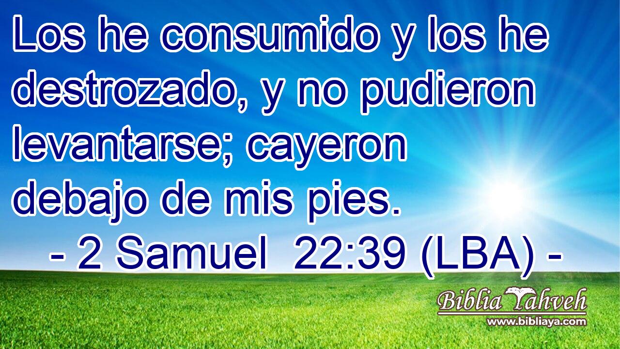Los he consumido y los he destrozado, y no pudieron levantarse; cayeron debajo de mis pies.