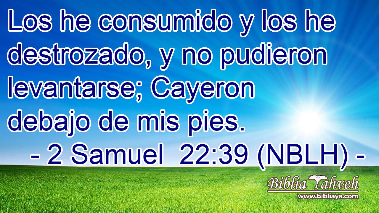  Los he consumido y los he destrozado, y no pudieron levantarse; Cayeron debajo de mis pies. 