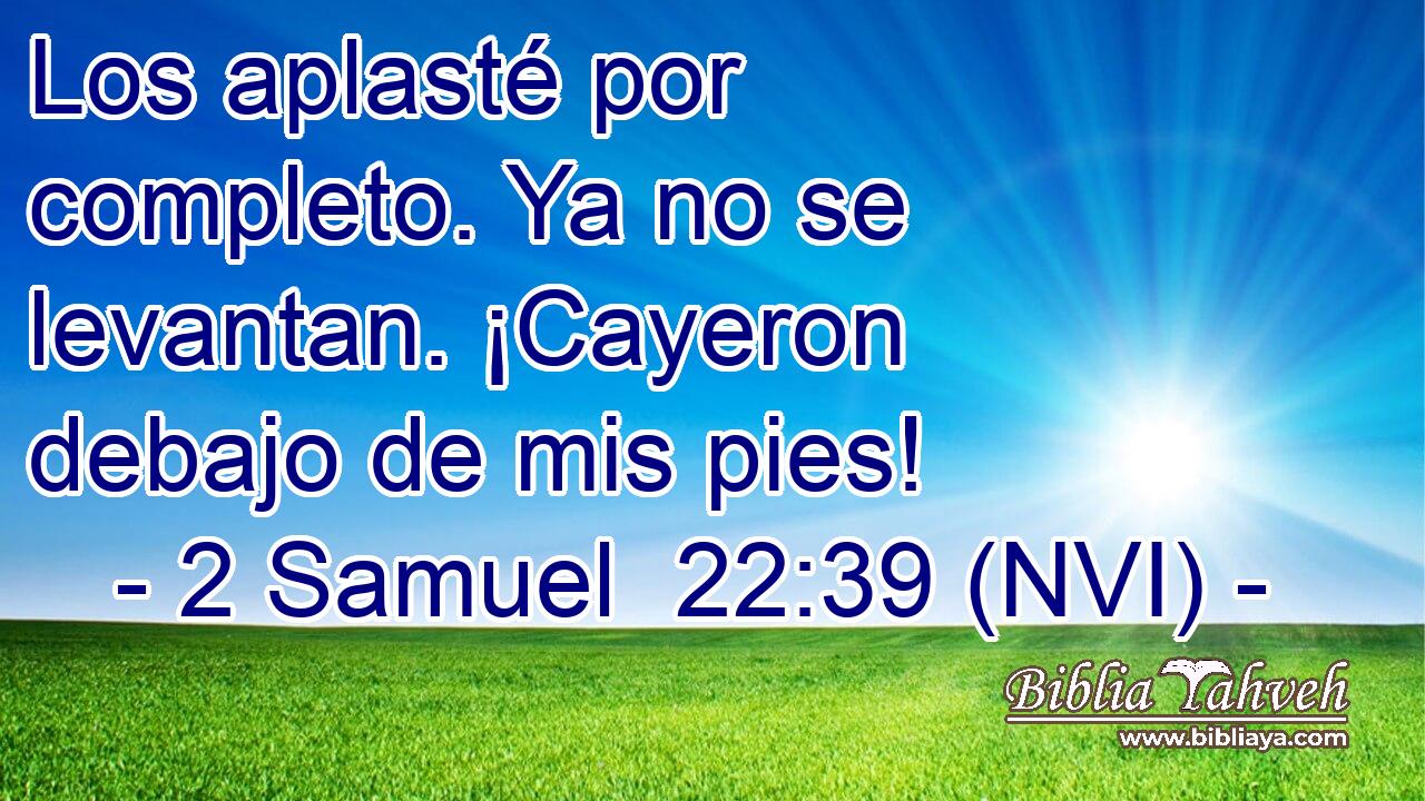 Los aplasté por completo. Ya no se levantan. ¡Cayeron debajo de mis pies! 