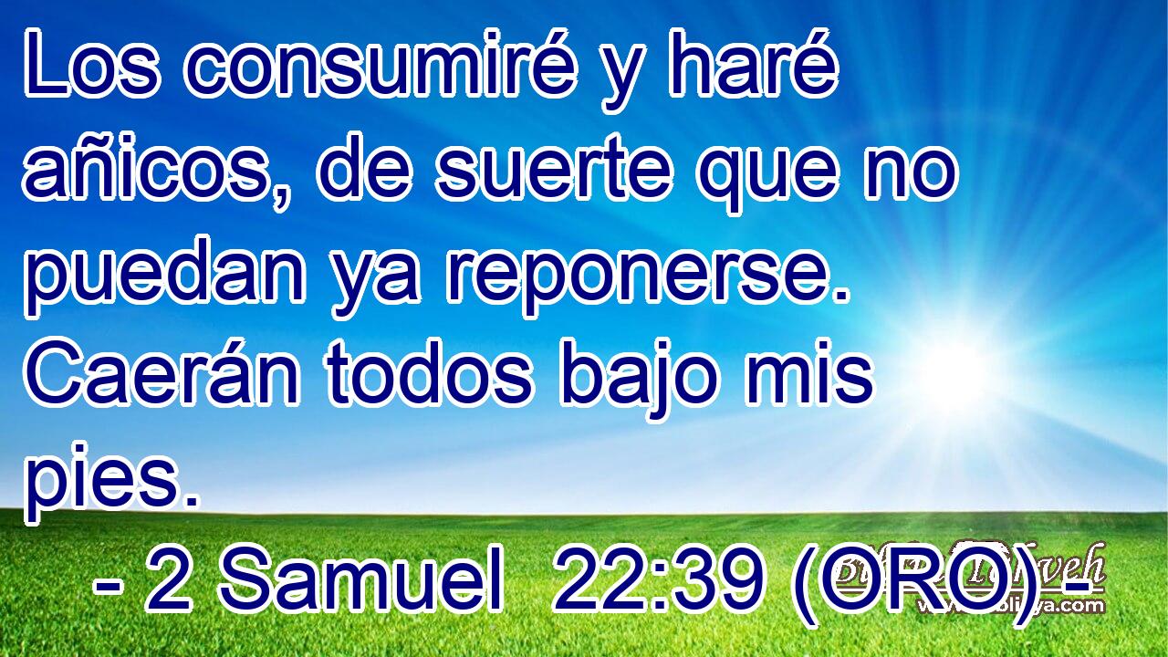  Los consumiré y haré añicos, de suerte que no puedan ya reponerse. Caerán todos bajo mis pies. 