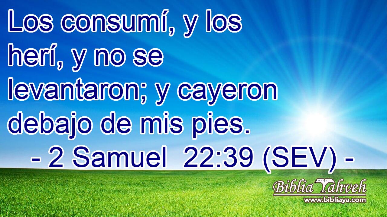 Los consumí, y los herí, y no se levantaron; y cayeron debajo de mis pies.