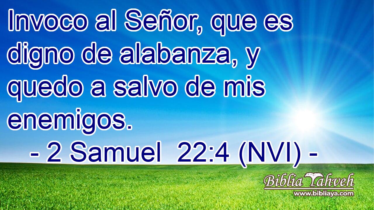  Invoco al Señor, que es digno de alabanza, y quedo a salvo de mis enemigos. 