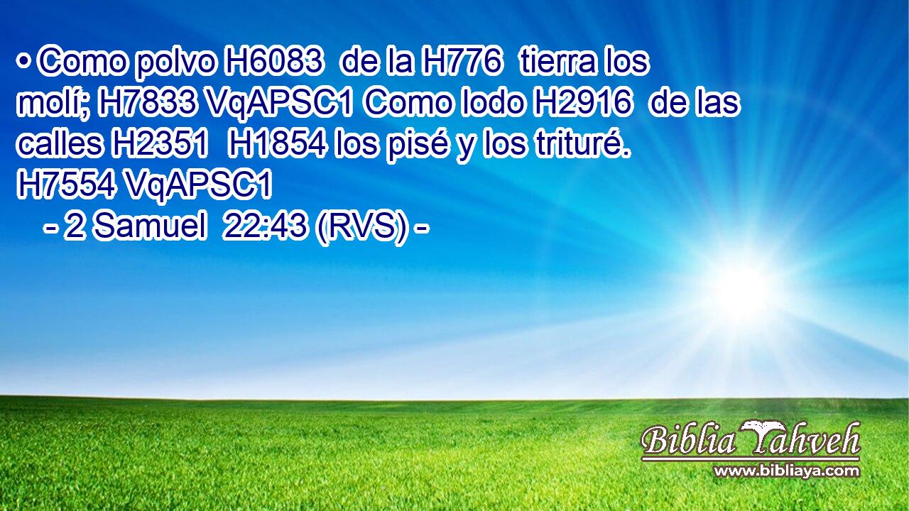 • Como polvo H6083  de la H776  tierra los molí; H7833 VqAPSC1 Como lodo H2916  de las calles H2351  H1854 los pisé y los trituré. H7554 VqAPSC1 