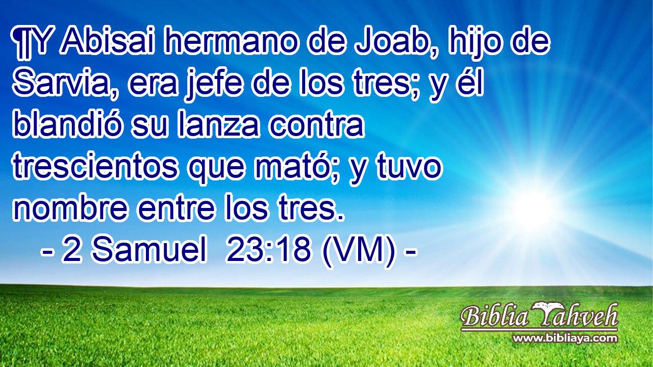  ¶Y Abisai hermano de Joab, hijo de Sarvia, era jefe de los tres; y él blandió su lanza contra trescientos que mató; y tuvo nombre entre los tres. 