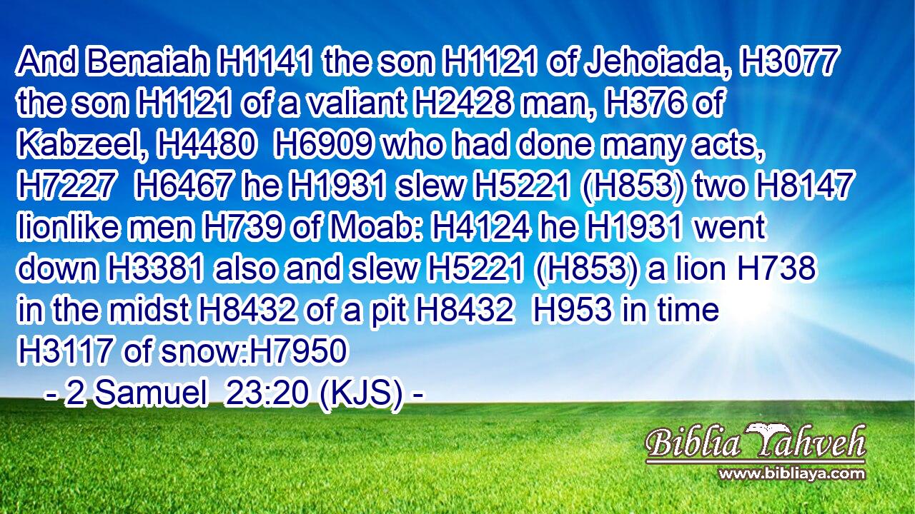 And Benaiah H1141 the son H1121 of Jehoiada, H3077 the son H1121 of a valiant H2428 man, H376 of Kabzeel, H4480  H6909 who had done many acts, H7227  H6467 he H1931 slew H5221 (H853) two H8147 lionlike men H739 of Moab: H4124 he H1931 went down H3381 also and slew H5221 (H853) a lion H738 in the midst H8432 of a pit H8432  H953 in time H3117 of snow:H7950