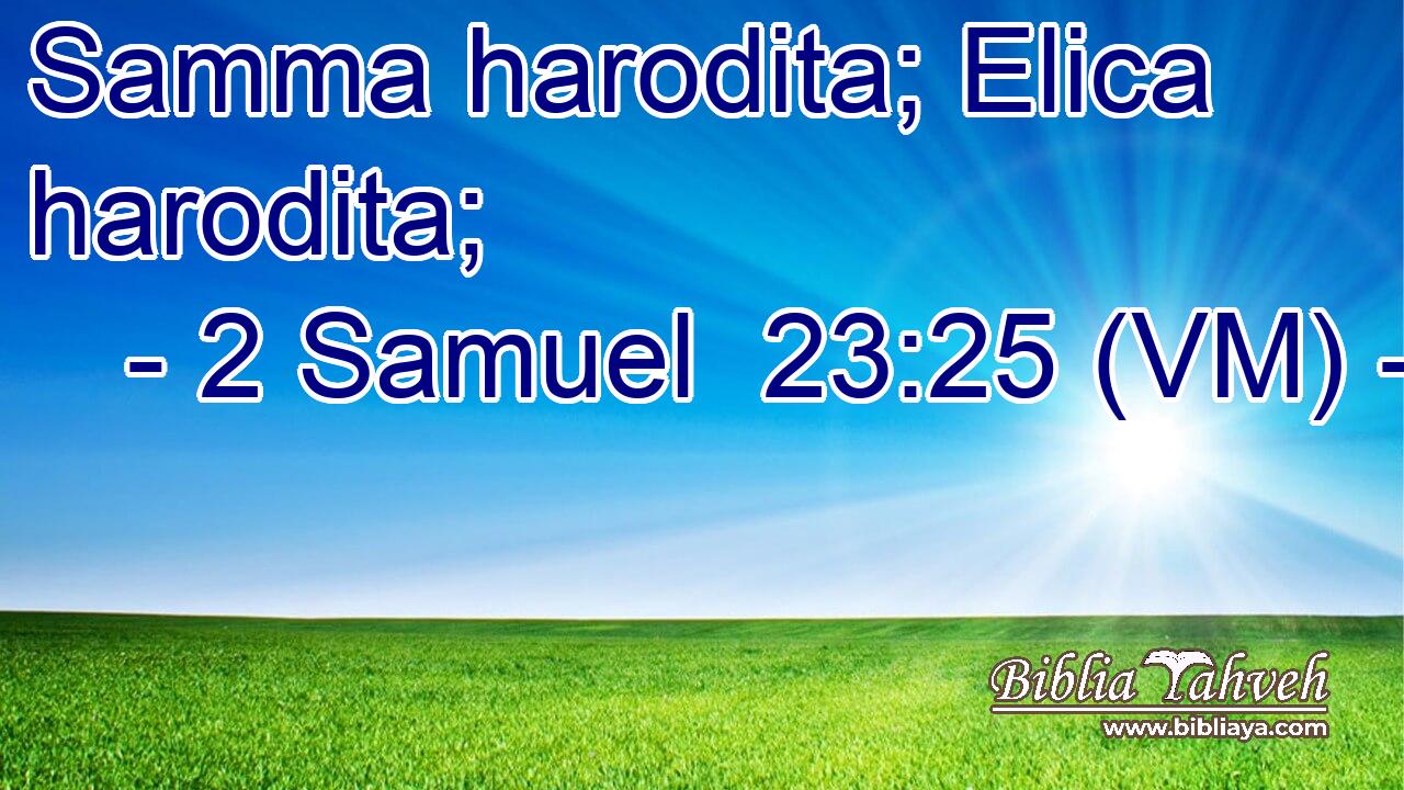  Samma harodita; Elica harodita; 