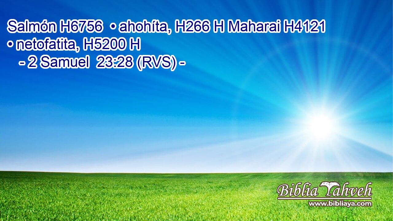 Salmón H6756  • ahohíta, H266 H Maharai H4121  • netofatita, H5200 H 