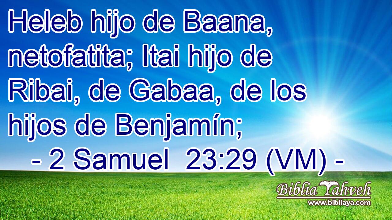  Heleb hijo de Baana, netofatita; Itai hijo de Ribai, de Gabaa, de los hijos de Benjamín; 