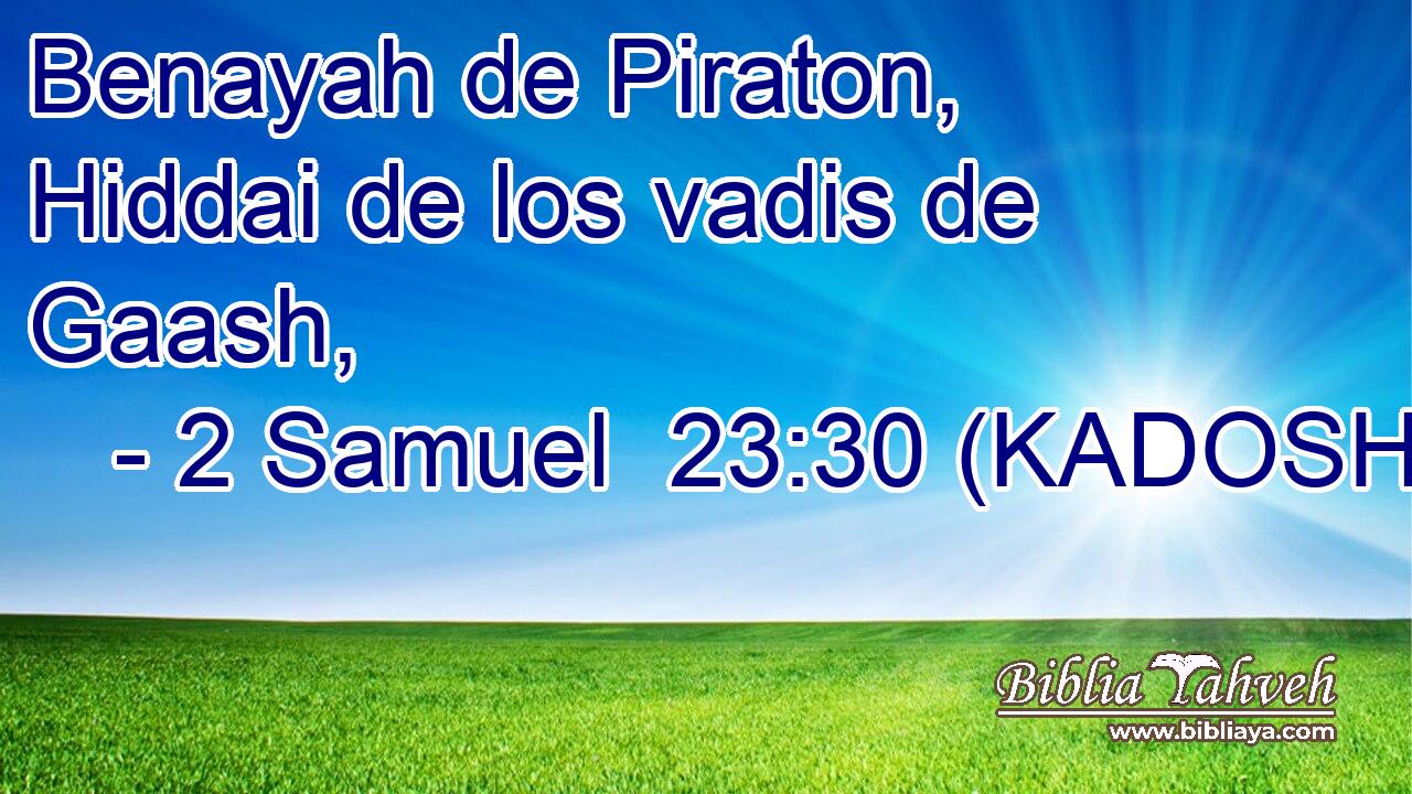  Benayah de Piraton, Hiddai de los vadis de Gaash, 