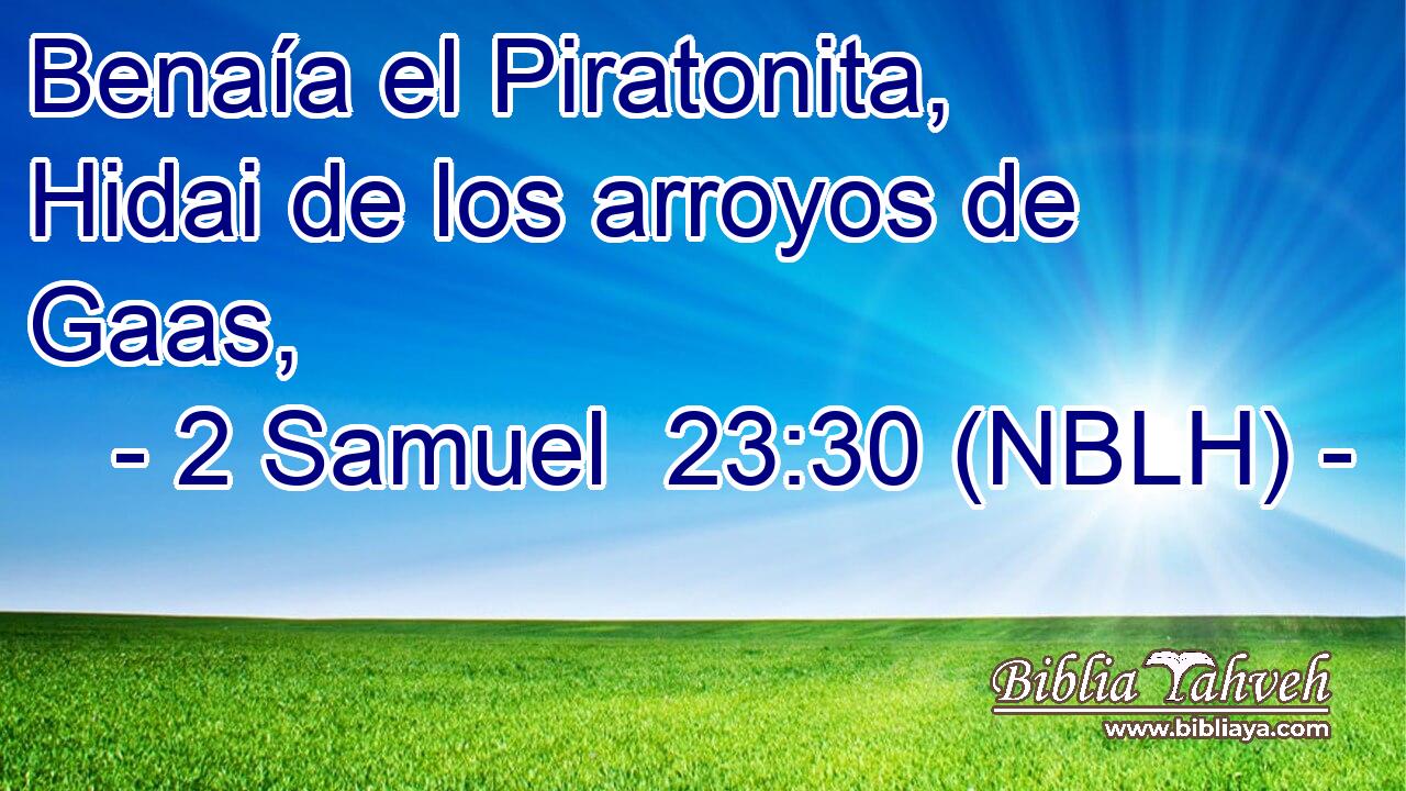  Benaía el Piratonita, Hidai de los arroyos de Gaas, 