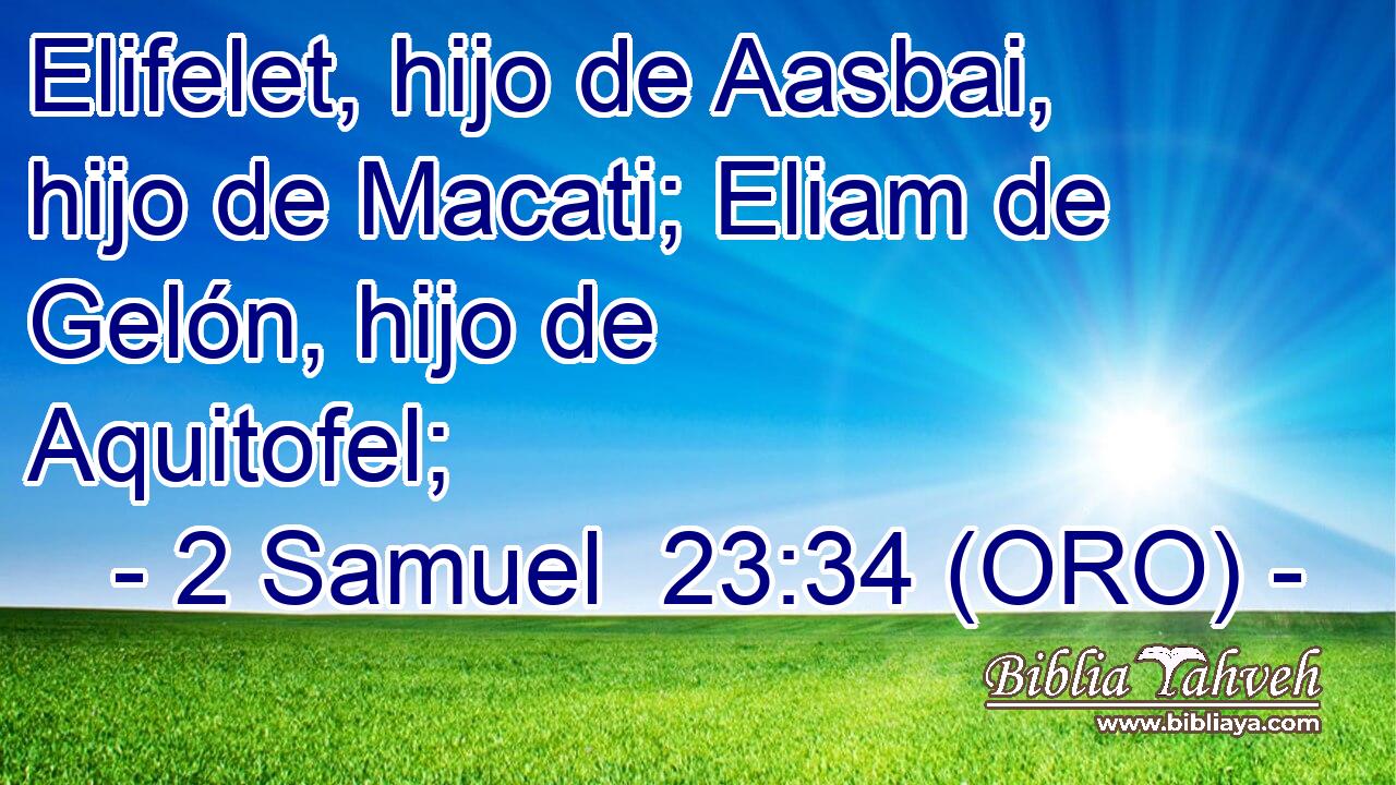  Elifelet, hijo de Aasbai, hijo de Macati; Eliam de Gelón, hijo de Aquitofel; 