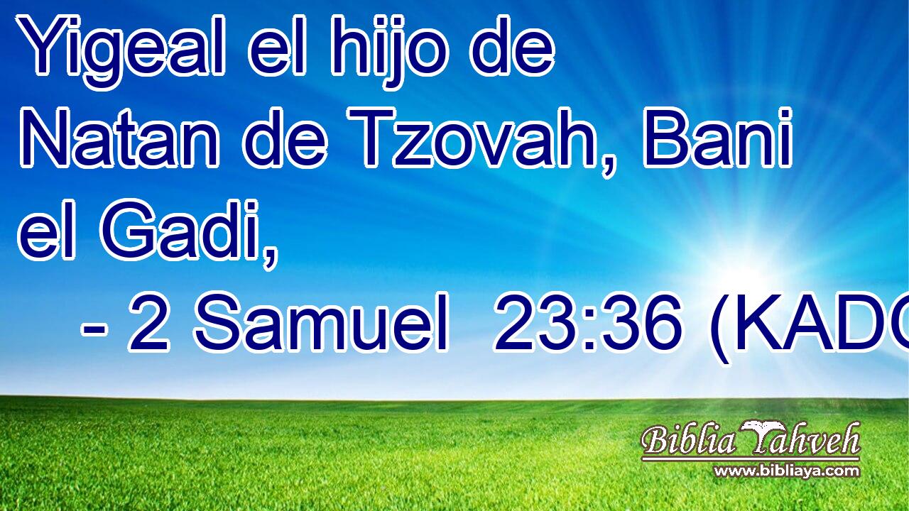  Yigeal el hijo de Natan de Tzovah, Bani el Gadi, 