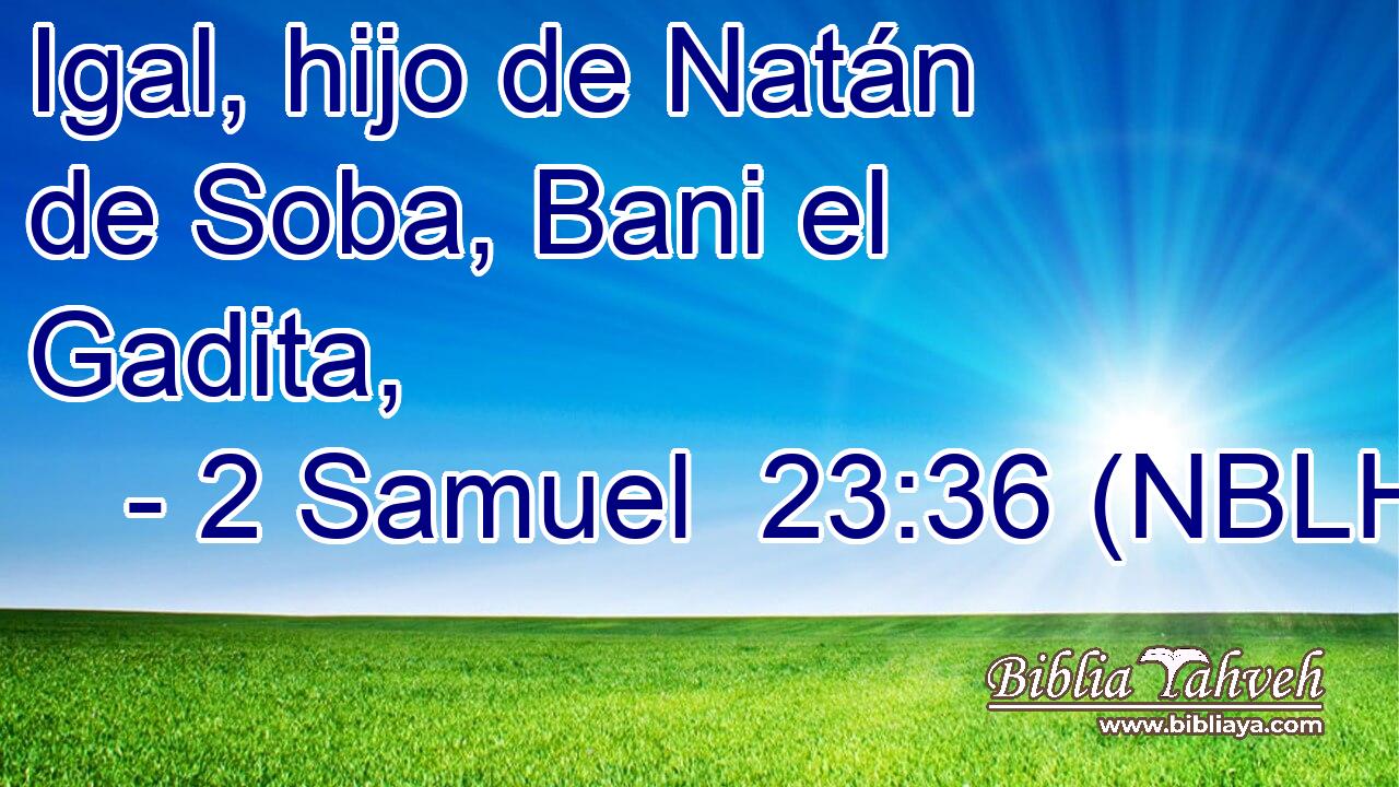  Igal, hijo de Natán de Soba, Bani el Gadita, 