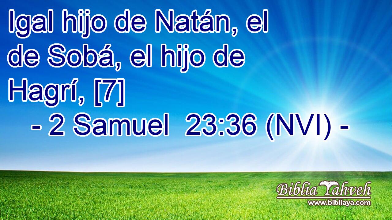  Igal hijo de Natán, el de Sobá, el hijo de Hagrí, [7] 