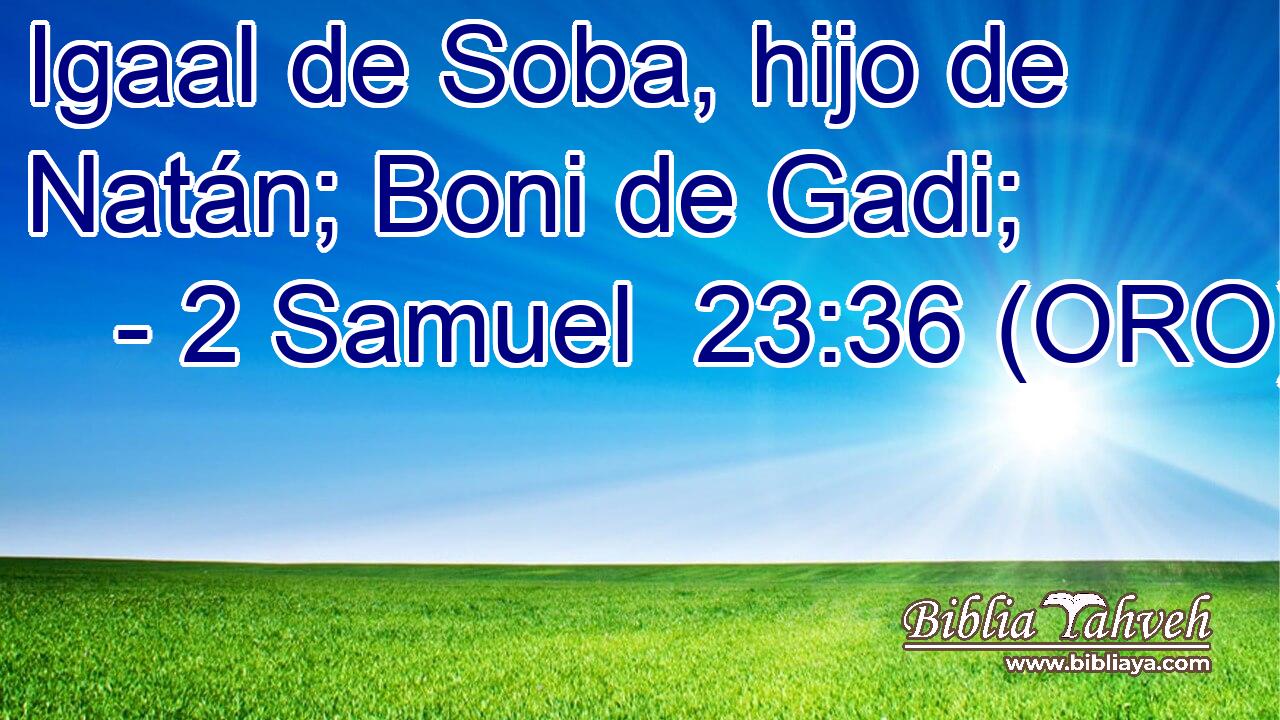  Igaal de Soba, hijo de Natán; Boni de Gadi; 