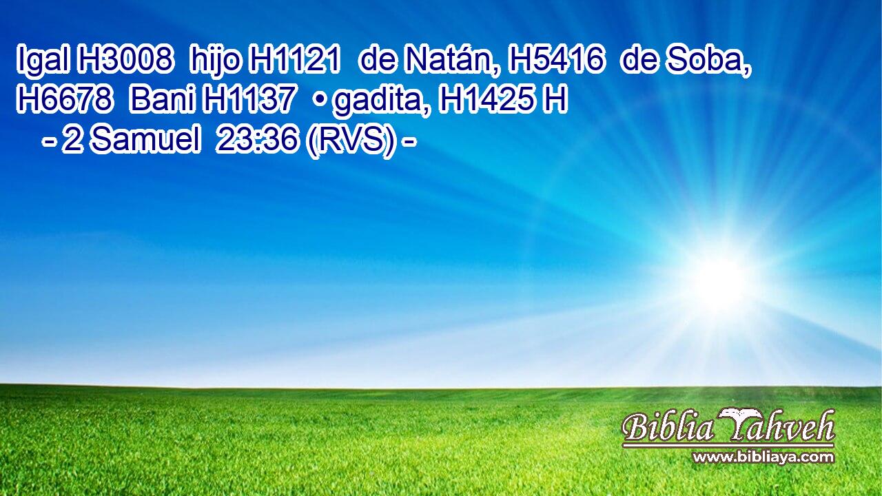 Igal H3008  hijo H1121  de Natán, H5416  de Soba, H6678  Bani H1137  • gadita, H1425 H 