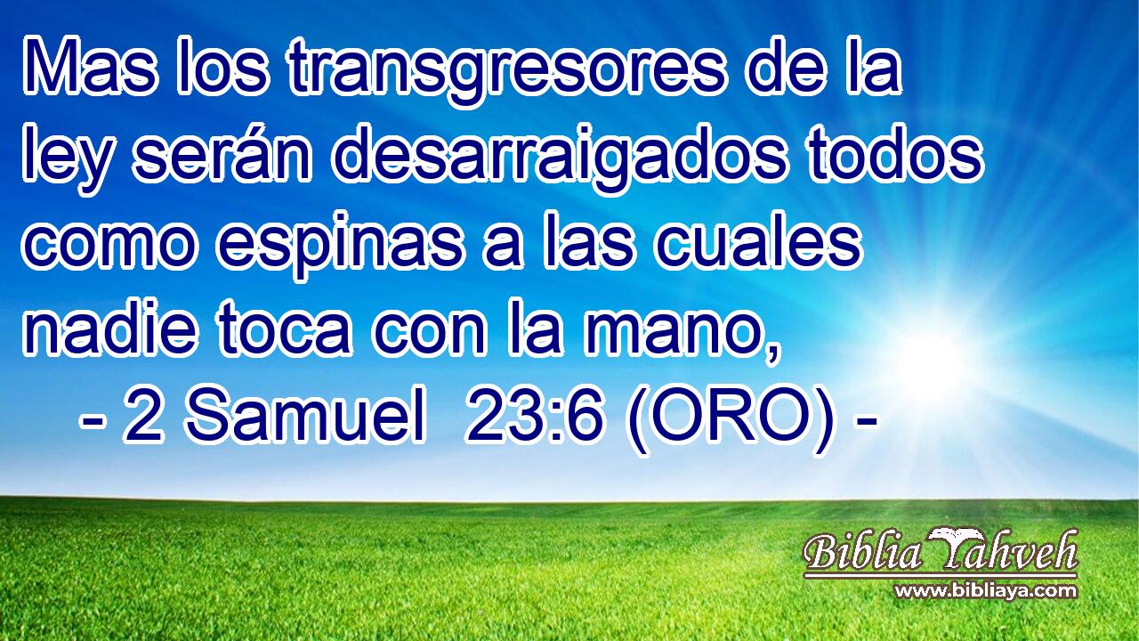  Mas los transgresores de la ley serán desarraigados todos como espinas a las cuales nadie toca con la mano, 