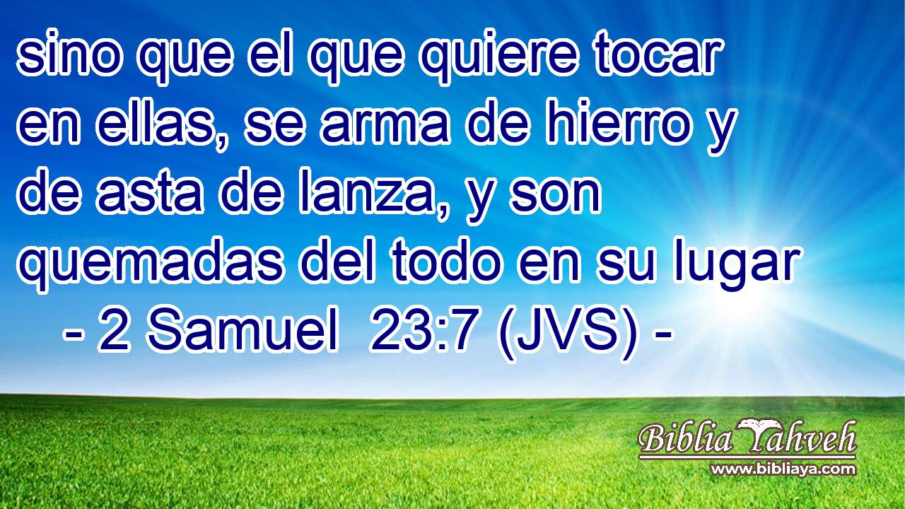 sino que el que quiere tocar en ellas, se arma de hierro y de asta de lanza, y son quemadas del todo en su lugar