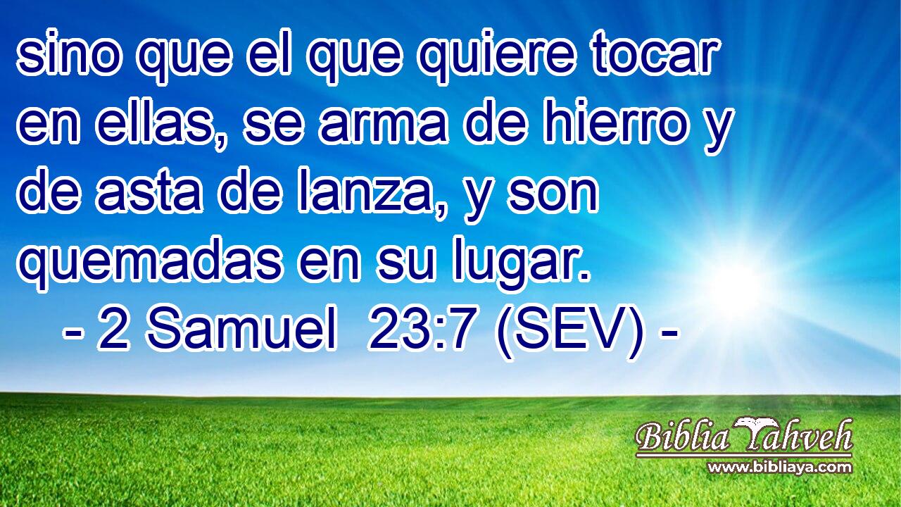 sino que el que quiere tocar en ellas, se arma de hierro y de asta de lanza, y son quemadas en su lugar.