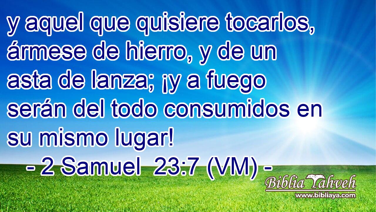  y aquel que quisiere tocarlos, ármese de hierro, y de un asta de lanza; ¡y a fuego serán del todo consumidos en su mismo lugar! 
