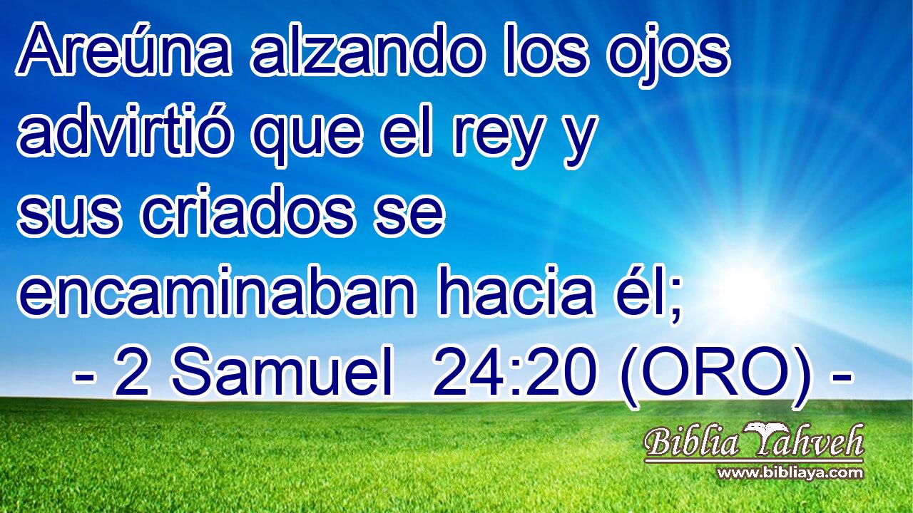  Areúna alzando los ojos advirtió que el rey y sus criados se encaminaban hacia él; 