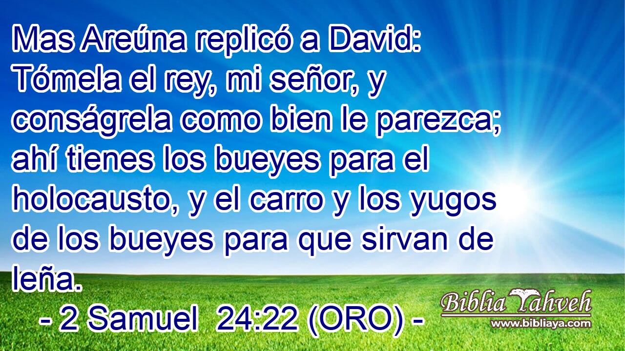  Mas Areúna replicó a David: Tómela el rey, mi señor, y conságrela como bien le parezca; ahí tienes los bueyes para el holocausto, y el carro y los yugos de los bueyes para que sirvan de leña. 