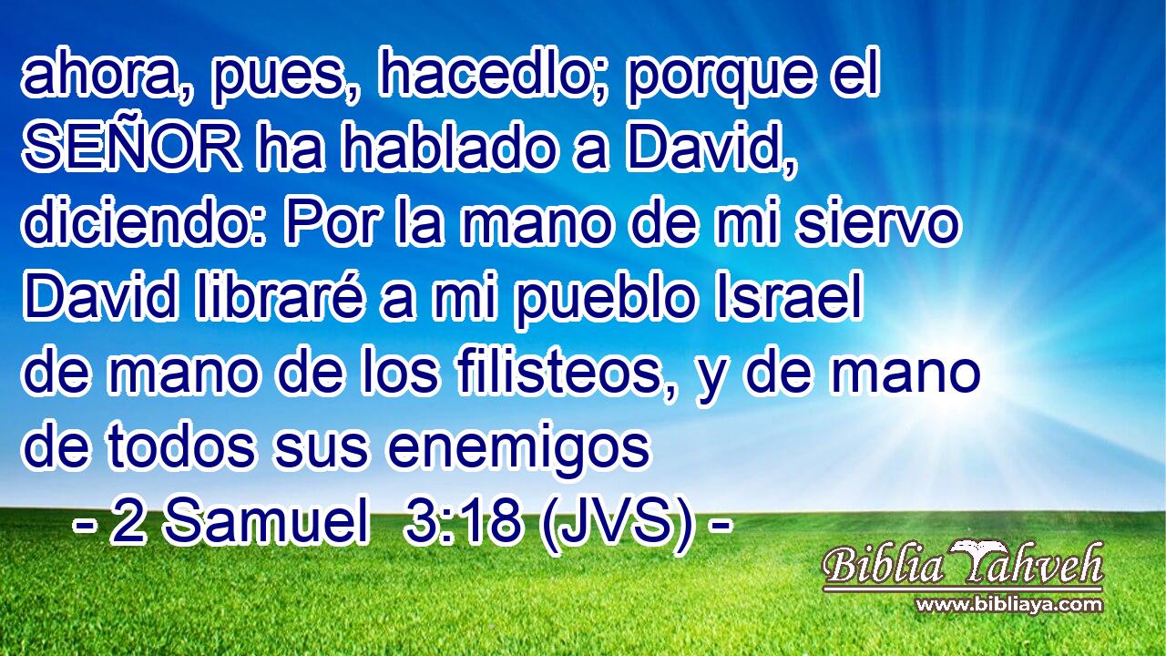 ahora, pues, hacedlo; porque el SEÑOR ha hablado a David, diciendo: Por la mano de mi siervo David libraré a mi pueblo Israel de mano de los filisteos, y de mano de todos sus enemigos