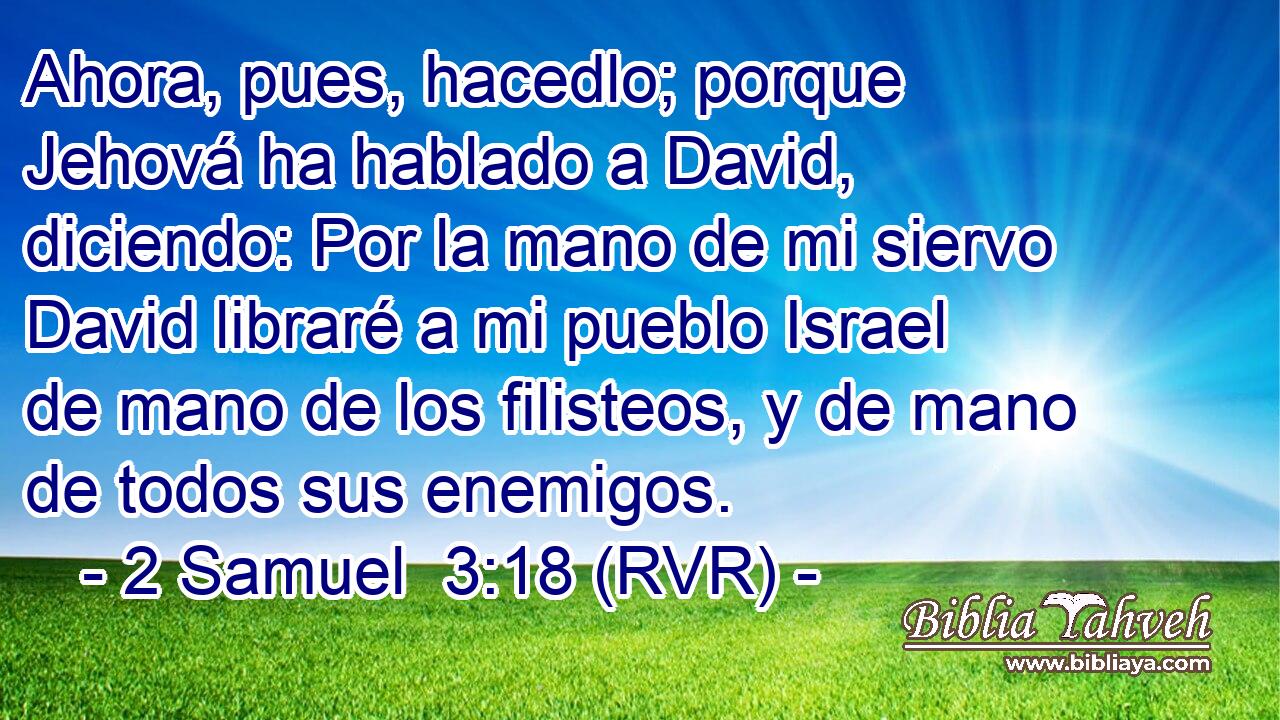 Ahora, pues, hacedlo; porque Jehová ha hablado a David, diciendo: Por la mano de mi siervo David libraré a mi pueblo Israel de mano de los filisteos, y de mano de todos sus enemigos.