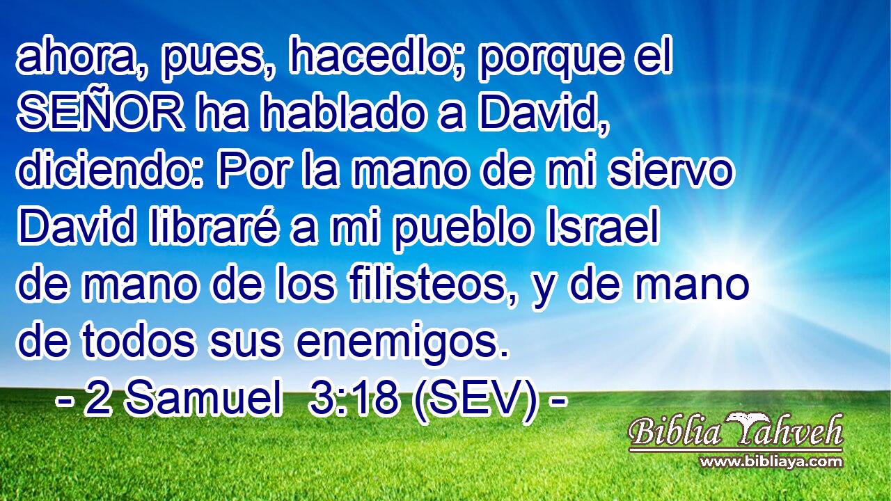 ahora, pues, hacedlo; porque el SEÑOR ha hablado a David, diciendo: Por la mano de mi siervo David libraré a mi pueblo Israel de mano de los filisteos, y de mano de todos sus enemigos.