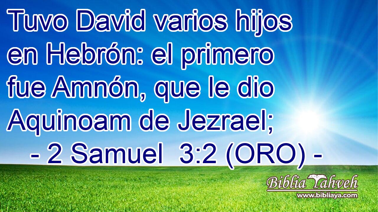  Tuvo David varios hijos en Hebrón: el primero fue Amnón, que le dio Aquinoam de Jezrael; 