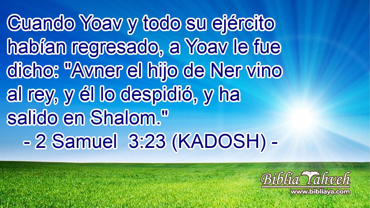  Cuando Yoav y todo su ejército habían regresado, a Yoav le fue dicho: 