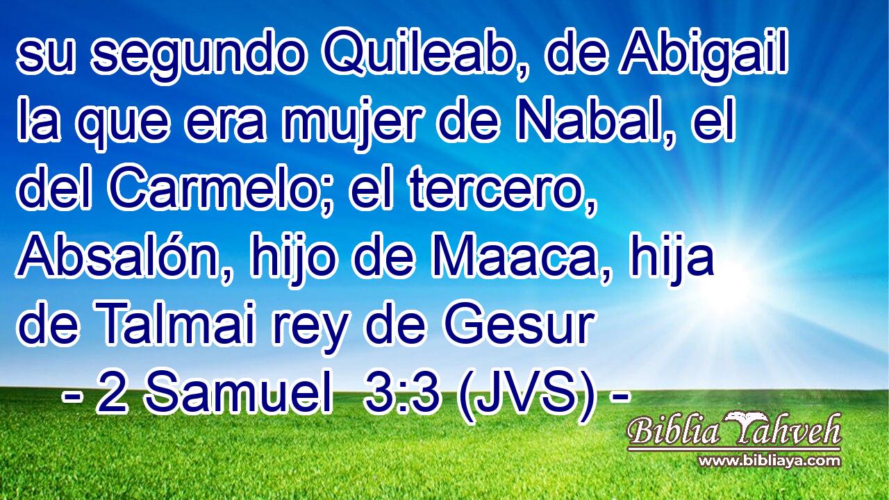 su segundo Quileab, de Abigail la que era mujer de Nabal, el del Carmelo; el tercero, Absalón, hijo de Maaca, hija de Talmai rey de Gesur