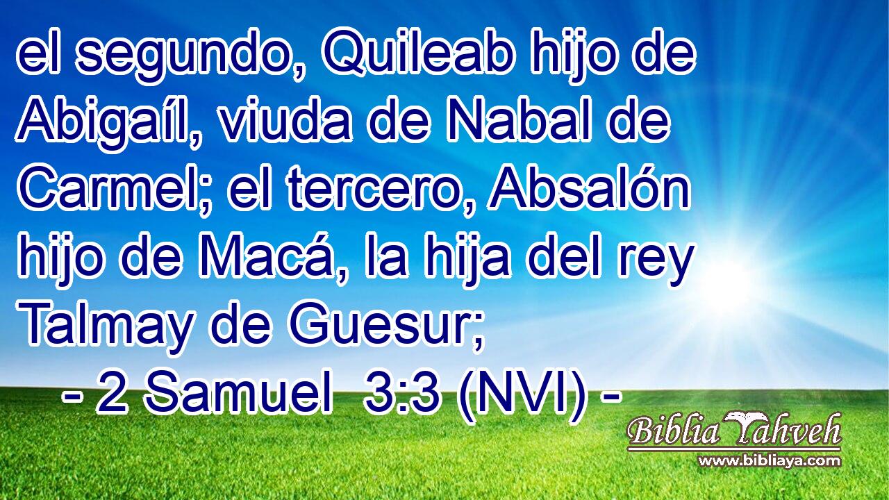  el segundo, Quileab hijo de Abigaíl, viuda de Nabal de Carmel; el tercero, Absalón hijo de Macá, la hija del rey Talmay de Guesur; 