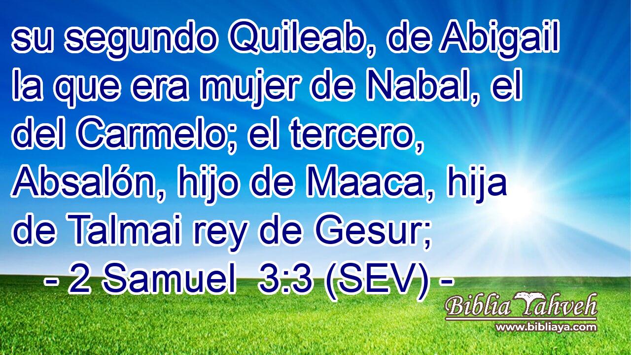 su segundo Quileab, de Abigail la que era mujer de Nabal, el del Carmelo; el tercero, Absalón, hijo de Maaca, hija de Talmai rey de Gesur;