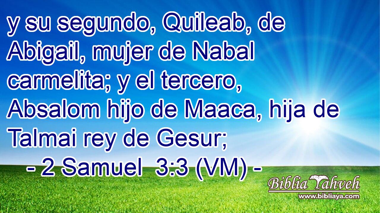  y su segundo, Quileab, de Abigail, mujer de Nabal carmelita; y el tercero, Absalom hijo de Maaca, hija de Talmai rey de Gesur; 
