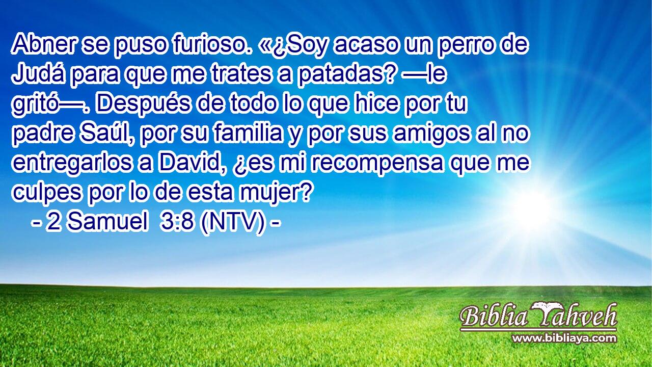 Abner se puso furioso. «¿Soy acaso un perro de Judá para que me trates a patadas? —le gritó—. Después de todo lo que hice por tu padre Saúl, por su familia y por sus amigos al no entregarlos a David, ¿es mi recompensa que me culpes por lo de esta mujer?