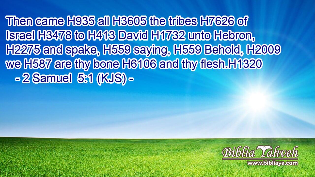 Then came H935 all H3605 the tribes H7626 of Israel H3478 to H413 David H1732 unto Hebron, H2275 and spake, H559 saying, H559 Behold, H2009 we H587 are thy bone H6106 and thy flesh.H1320