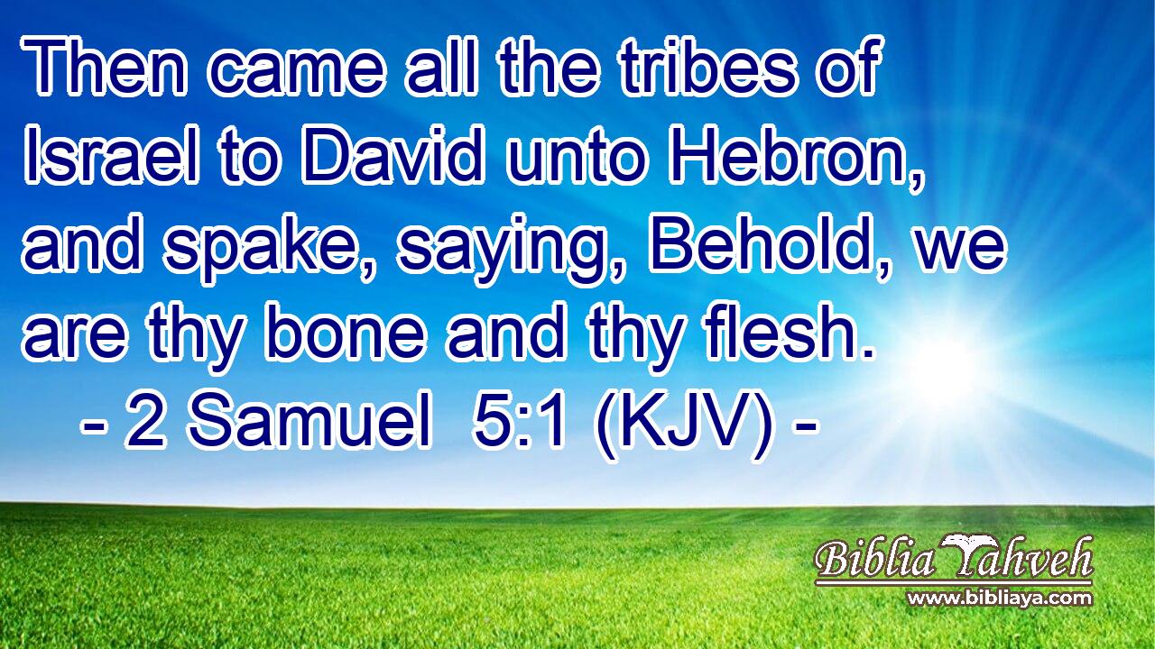 Then came all the tribes of Israel to David unto Hebron, and spake, saying, Behold, we are thy bone and thy flesh.