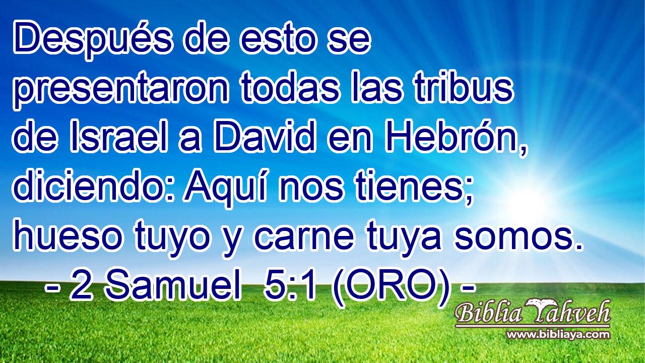  Después de esto se presentaron todas las tribus de Israel a David en Hebrón, diciendo: Aquí nos tienes; hueso tuyo y carne tuya somos. 