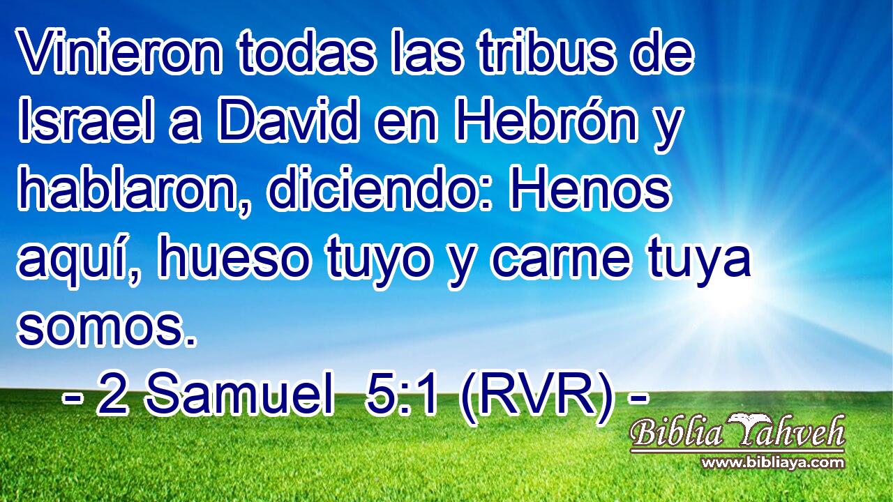 Vinieron todas las tribus de Israel a David en Hebrón y hablaron, diciendo: Henos aquí, hueso tuyo y carne tuya somos.