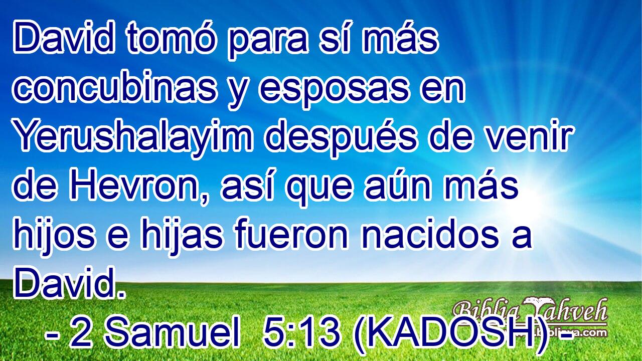  David tomó para sí más concubinas y esposas en Yerushalayim después de venir de Hevron, así que aún más hijos e hijas fueron nacidos a David. 