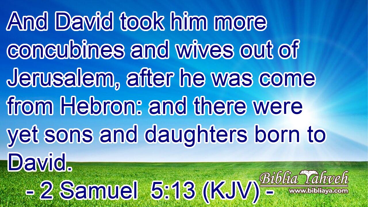 And David took him more concubines and wives out of Jerusalem, after he was come from Hebron: and there were yet sons and daughters born to David.