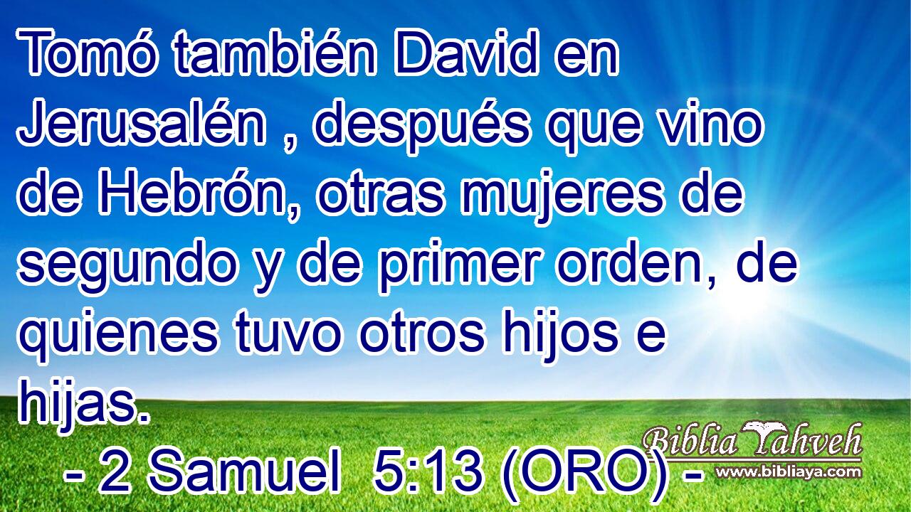  Tomó también David en Jerusalén , después que vino de Hebrón, otras mujeres de segundo y de primer orden, de quienes tuvo otros hijos e hijas. 